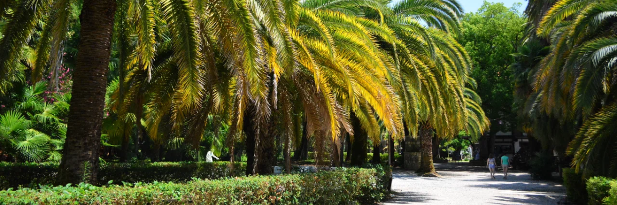 Приморский парк в Гагре