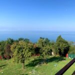 367abba96b7e88f4a4008bd9c533ab8f54ee8db4