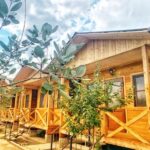 5967221c98ab36bb5ae0777f1fa929137c631b78