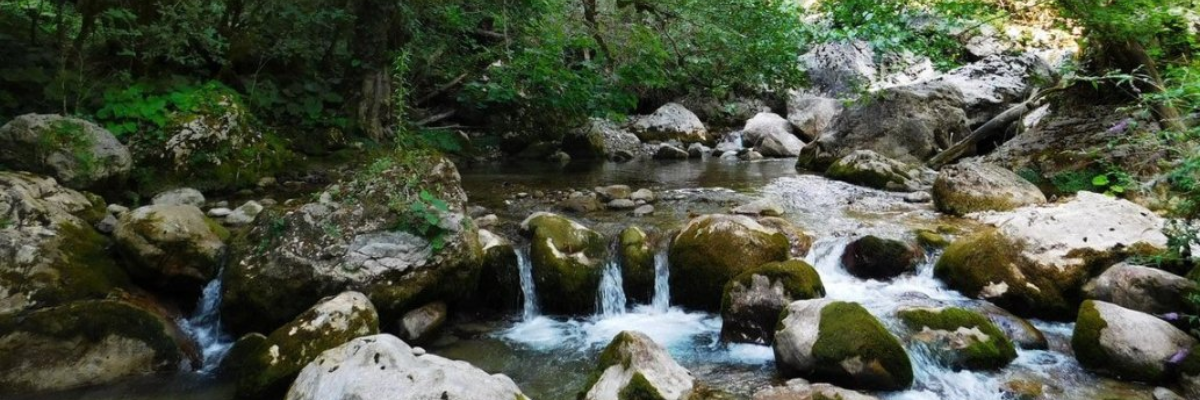 Жоэкварское ущелье