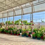 15691010b8d137bac308bb6df52ae751d10d610b Гостевой дом Цветочный рай