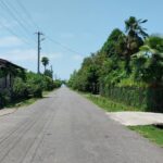 f523029c88aeb18268c93ca16fa6d7862ff7b1e1 Отель Мандариновый берег