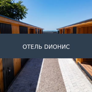 Отель Dионис