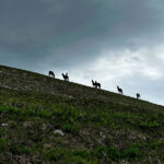 Джип-тур выше облаков!