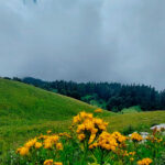 Джип-тур выше облаков!