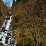 Экскурсия в Гагру: путешествие по сердцу Абхазии — горы, озёра и вкусы Апсны