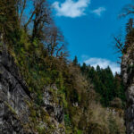 Экскурсия в Гагру: путешествие по сердцу Абхазии — горы, озёра и вкусы Апсны