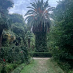 Экскурсия в Сухум из Гагры