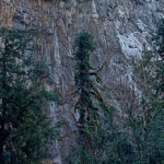 Незабываемый отдых в Абхазии: по следам «Последнего богатыря» в Гагре