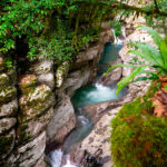 Незабываемый отдых в Абхазии: по следам «Последнего богатыря» в Гагре