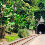 bppa_5 Большое путешествие по Абхазии