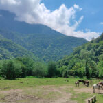 На кабриолете из Нового Афона к озеру Рица!