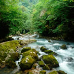 riccaexc4 Групповая экскурсия на встречу с Рицей