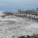 Экскурсия в Сухум