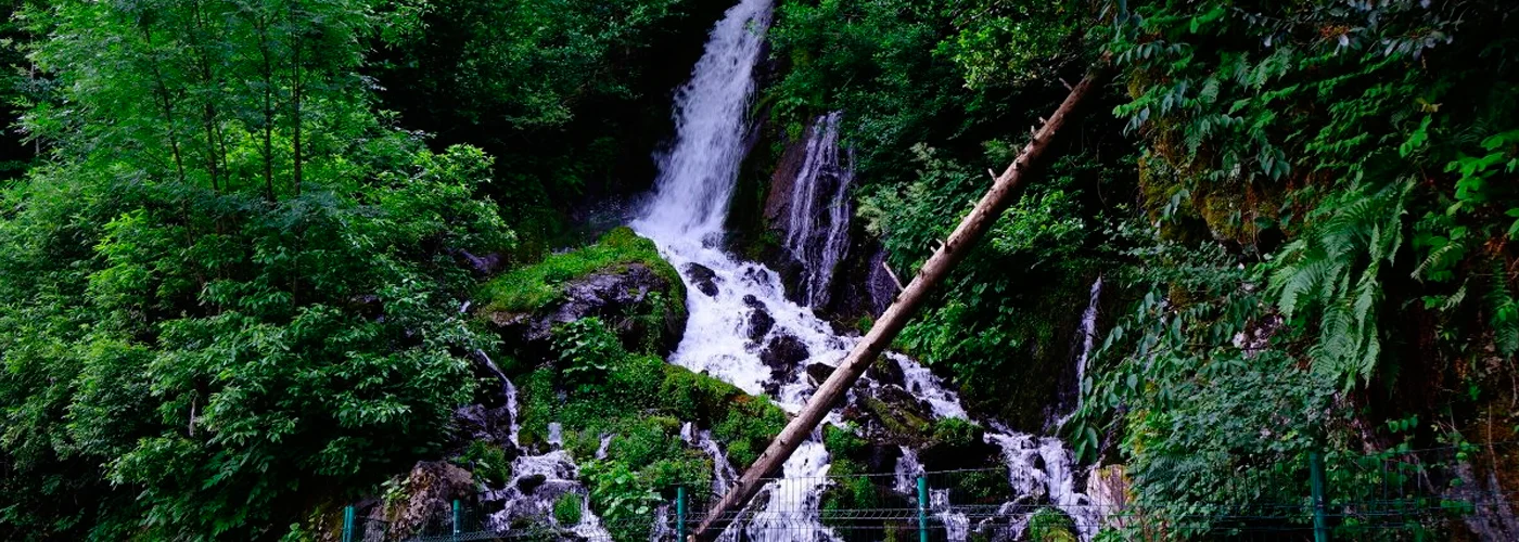 Водопад Птичий клюв