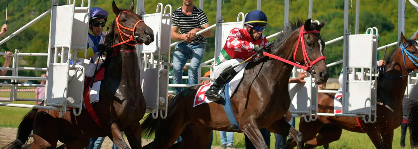 Бзыбский ипподром