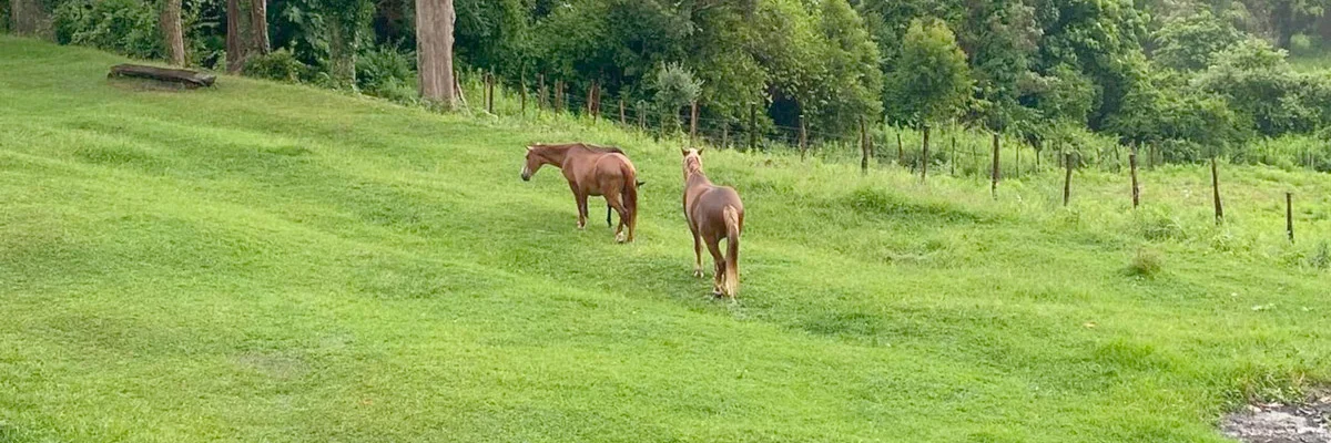 Конная прогулка к водопаду Борода