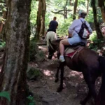 Конная прогулка к водопаду Борода