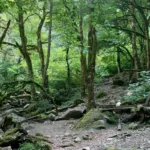 Конная прогулка к водопаду Борода