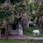 Конная прогулка к водопаду Борода