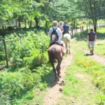 Конная прогулка к водопаду Борода