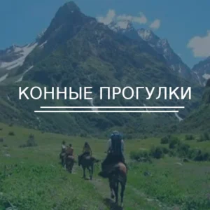 Конные прогулки в Абхазии