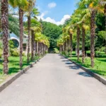 Дача Горбачёва в Мюссере в наши дни