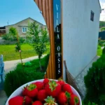 Апарт-отель Оазис